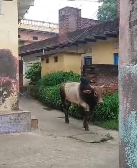 Khabre Aaj Bhi